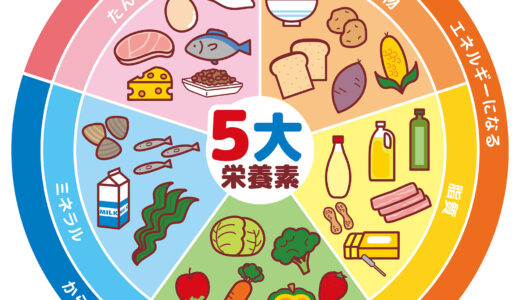 親子で学ぶ！子供に伝える食材の栄養価とその重要性